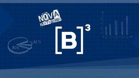 A B3 lançou uma nova plataforma para os investidores